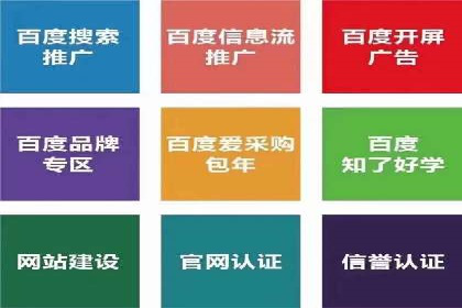 百度SEO推广：从零到一的成长案例